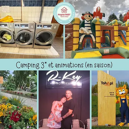 Chez Roger - Climatise Avec Tv - 2 4 Personnes * Boofzheim